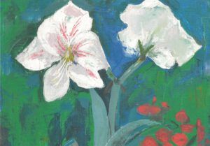 B1 Gerda Stryi Weiße Amaryllis