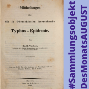 Sammltungsobjekt des Monats August Sammltungsobjekt des Monats August