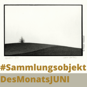Sammltungsobjekt des Monats Juni Sammltungsobjekt des Monats Juni