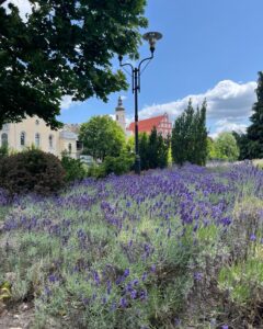 509355264_122133727340716883_6657794070181069509_n