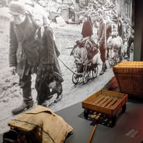 Dokumentations- und Ausstellungszentrum der Deutschen in Polen Dokumentations- und Ausstellungszentrum der Deutschen in Polen