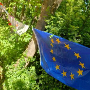 IMG_20250511_104237486_HDR~2