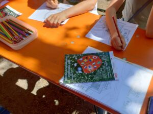 IMG_20250511_114216912_HDR~2